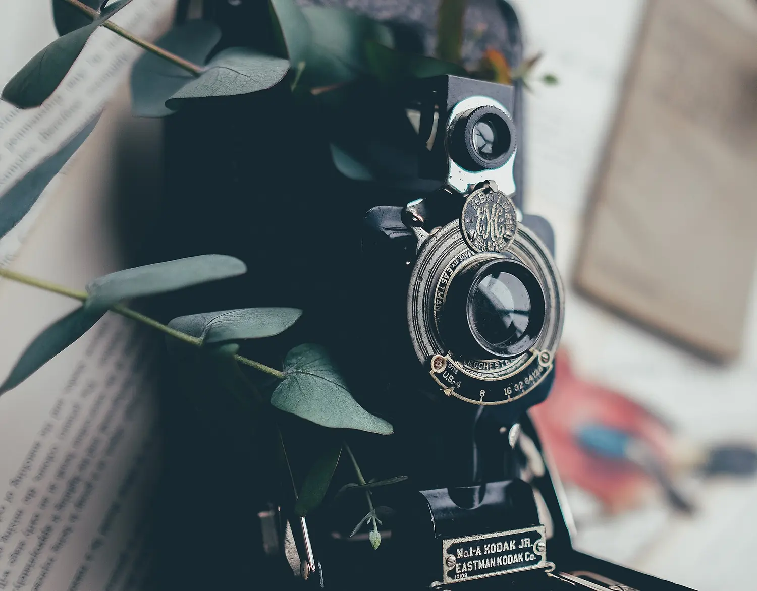 An old folding Kodak camera on a desk next to a plant.